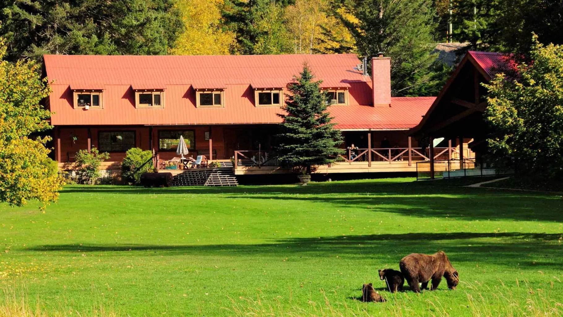 Het hoofdgebouw van Tweedsmuir Park Lodge met een rood dak naast een groen gazon en bomen, met drie beren die op de voorgrond lopen.