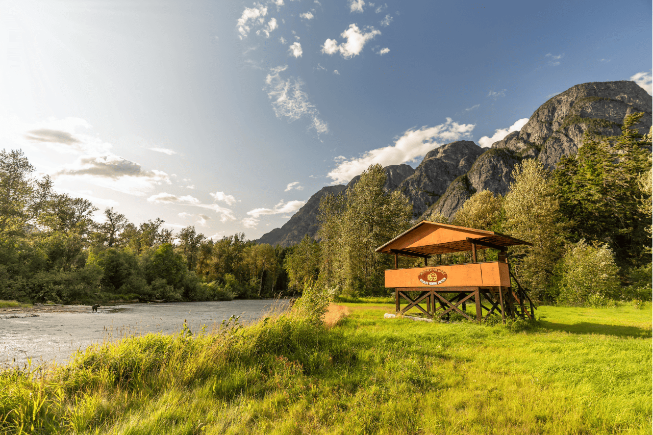 de berenobservatiepost van Tweedsmuir Park Lodge op palen aan een rivier, met groen gras, bomen en bergen onder een heldere hemel.