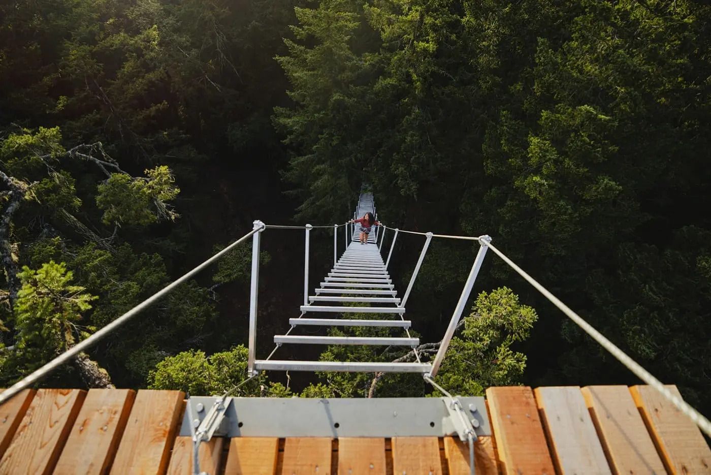 Hangbrug over een bos met een persoon die in de verte loopt.