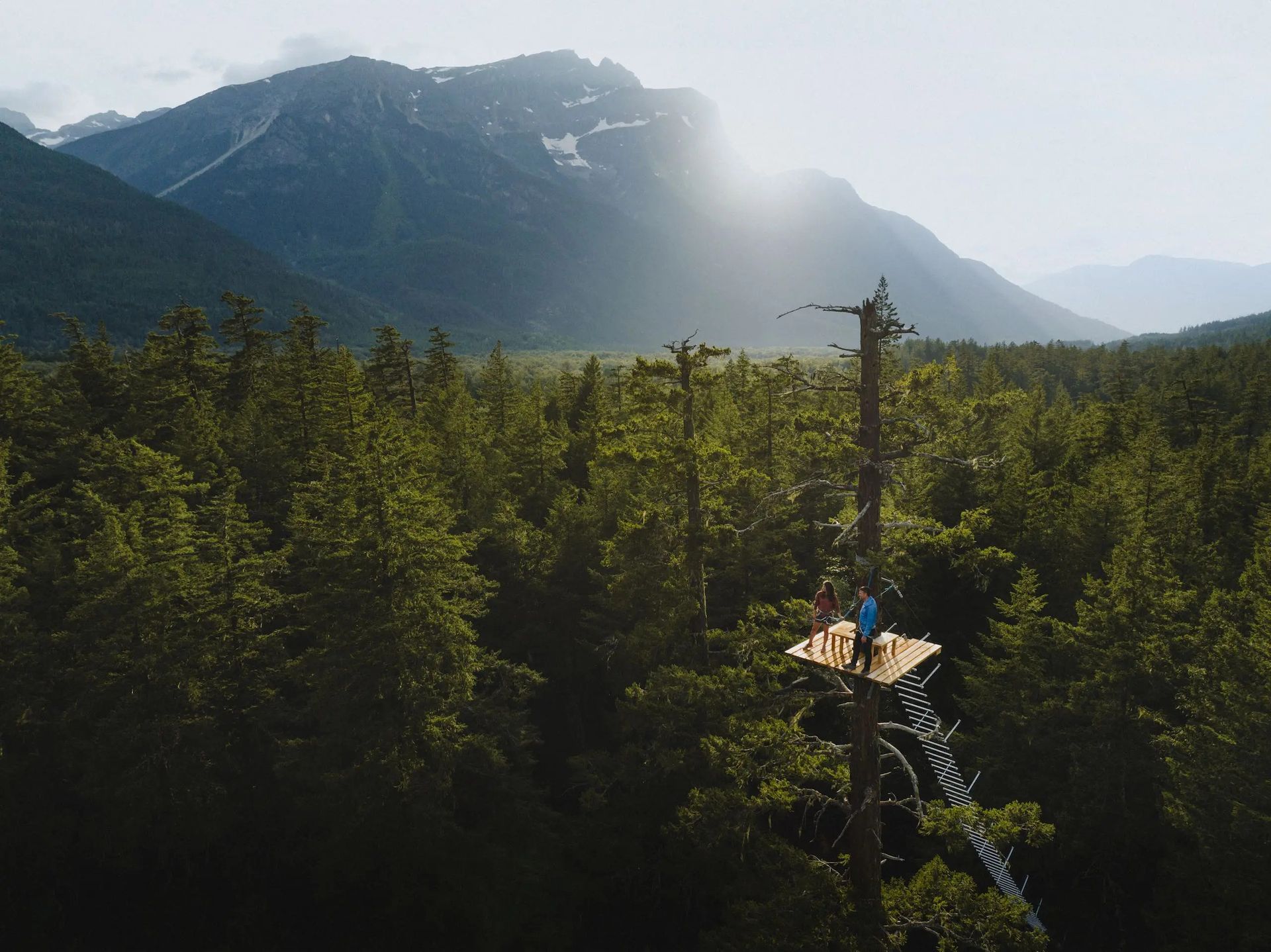Zonovergoten bergketen boven een dicht bos, met een kleine uitkijktoren op de voorgrond.