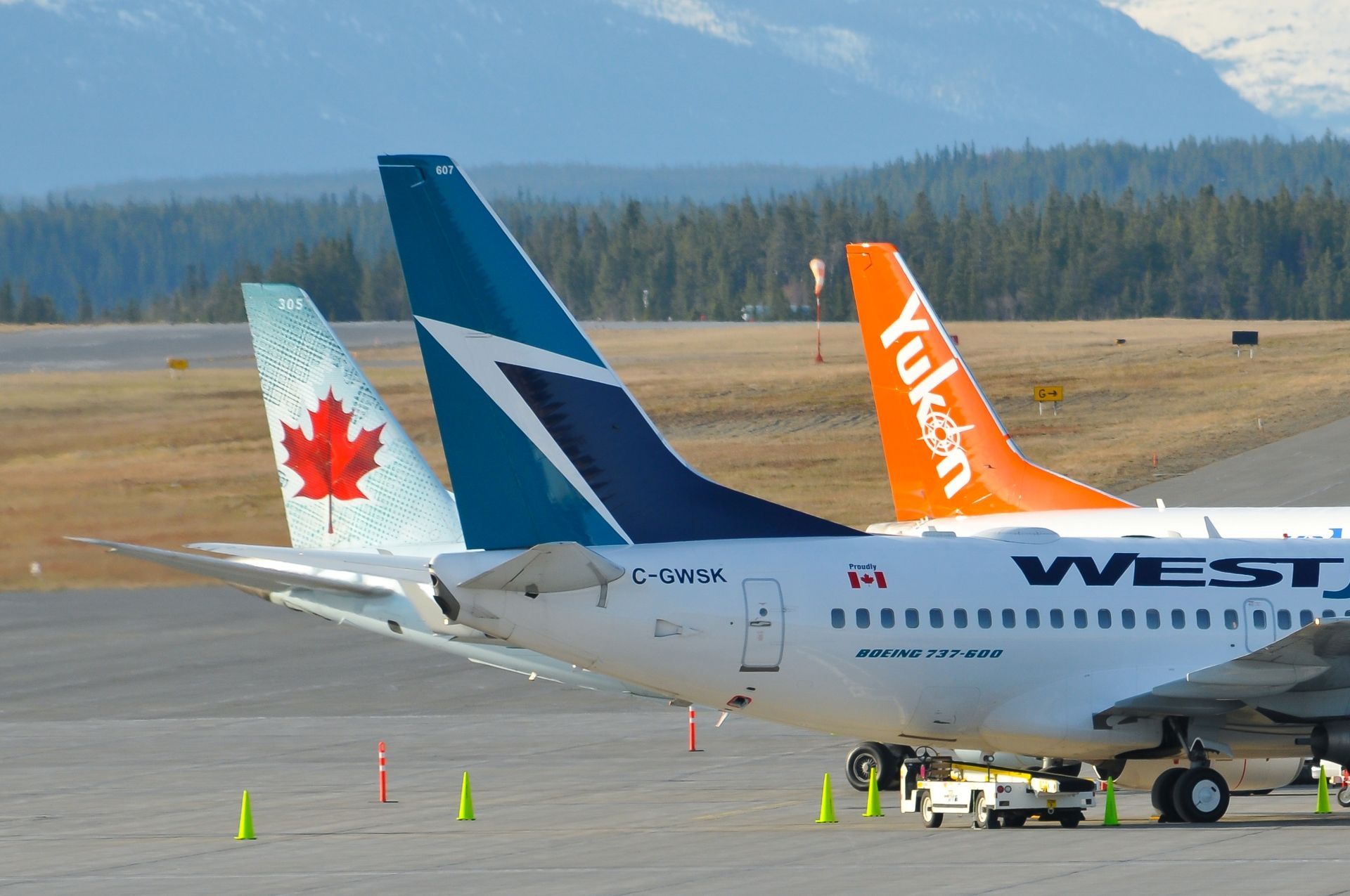 © Simon Blakesley Vinnen van vliegtuigen op Whitehorse International Airport , Yukon, Canada
