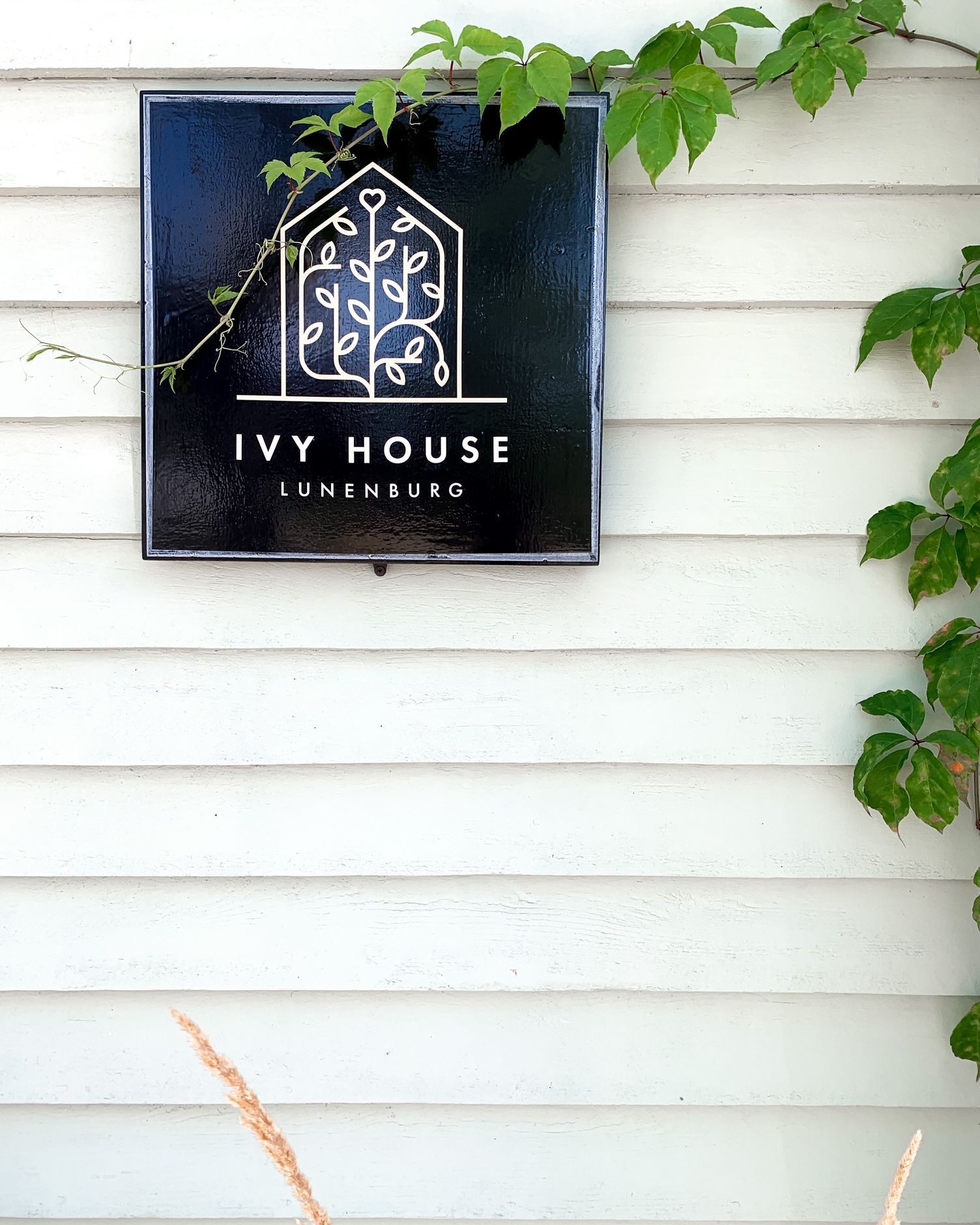 Het Black Ivy House-bord op een witte gevel, omlijst door groene klimplanten.
