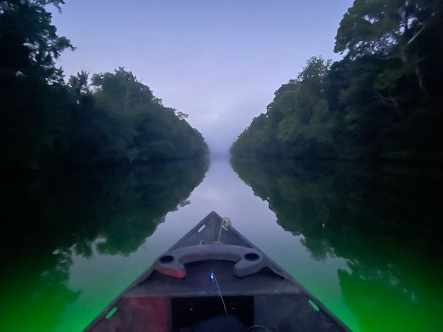 Boat on calm water reflecting trees and sky; green under-lights illuminate.