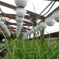 Rows of white hanging pots suspended from wooden beams above a lush bed of green grass in a greenhouse.
