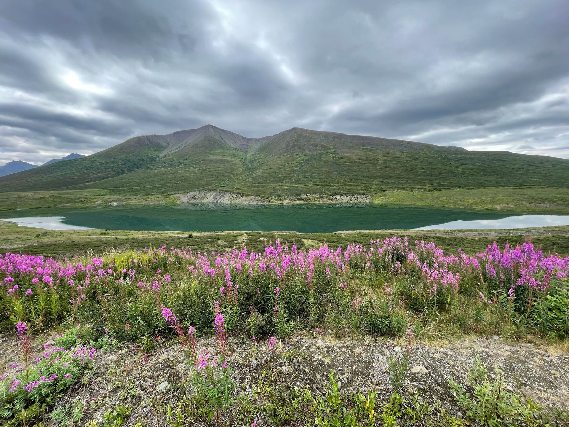 Real Estate Wasilla, AK Hooligan Real Estate Hub