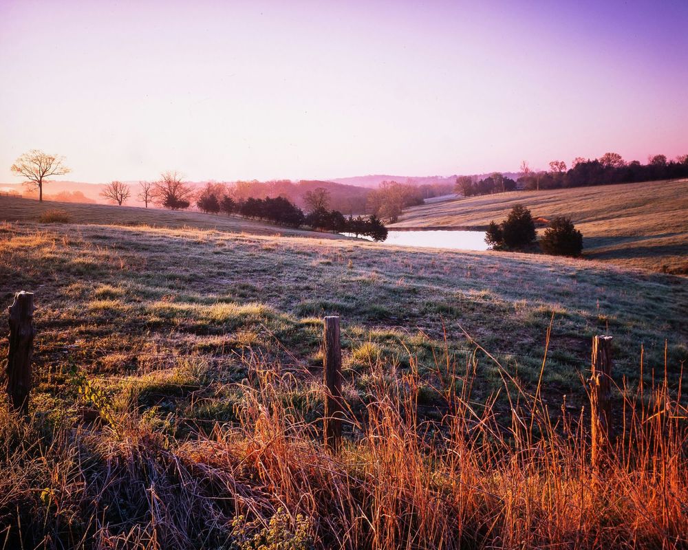 Sunrise over frosty rolling fields with a winding stream and pink sky
