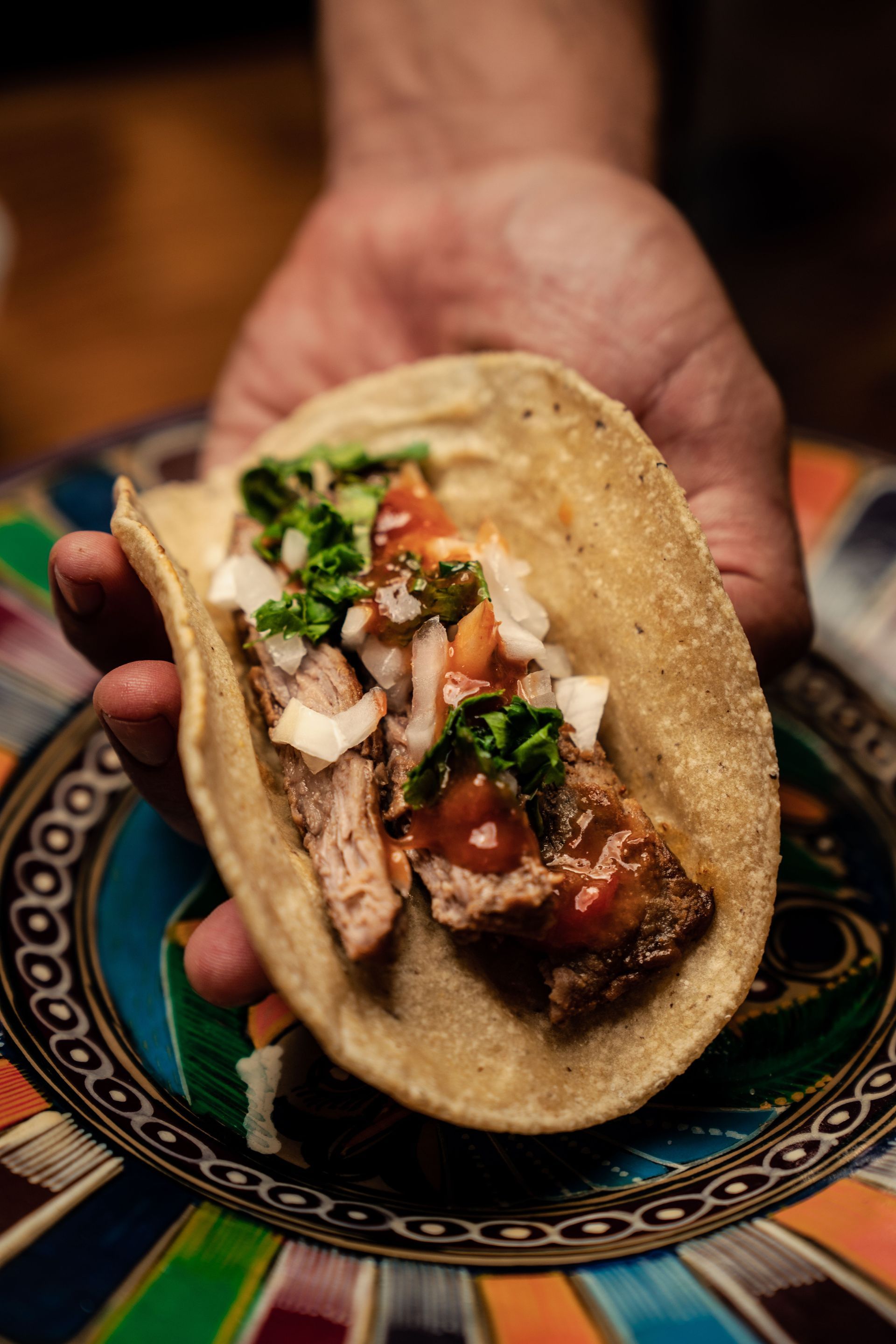 Hand holding a taco topped with meat, onions, cilantro, and salsa over a colorful patterned plate