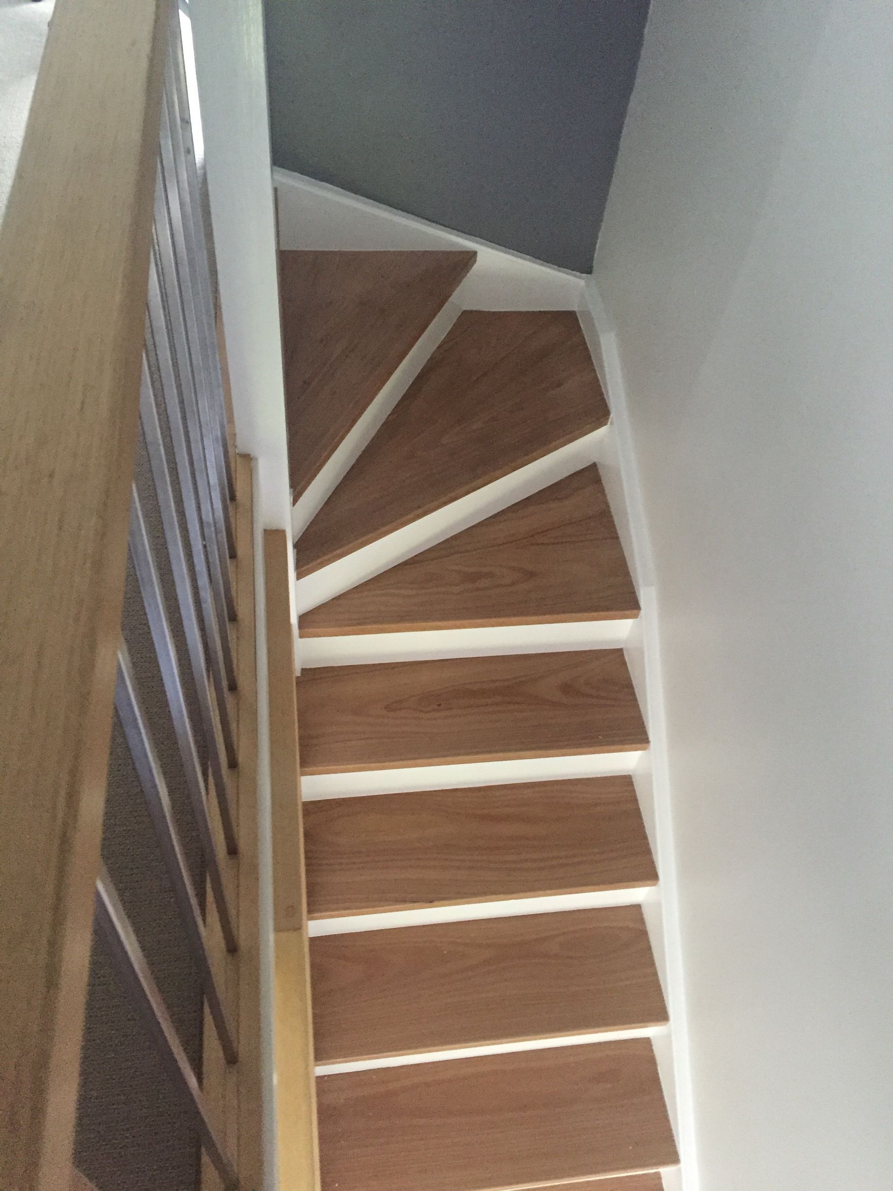 Wooden, winding staircase with white risers and gray ceiling.