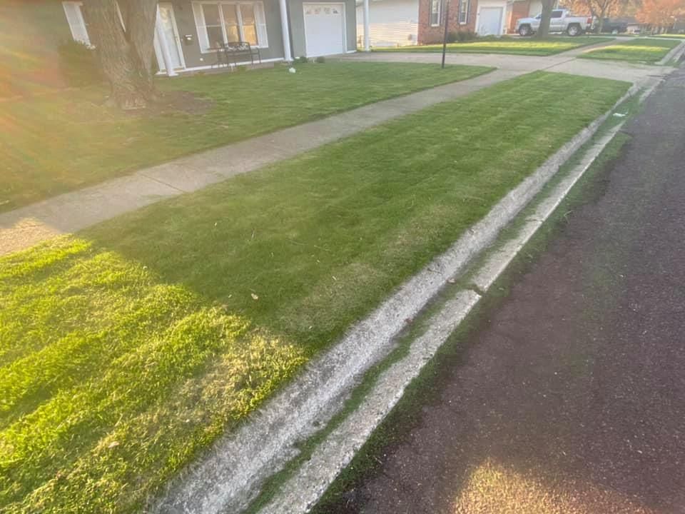 Sunlit suburban sidewalk beside a green lawn and houses along a quiet street
