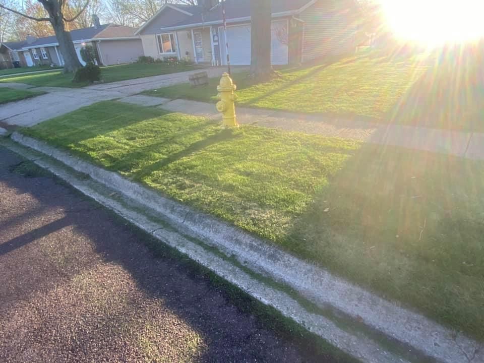 Sunlit suburban street with a yellow fire hydrant on a grassy corner lot and sidewalk