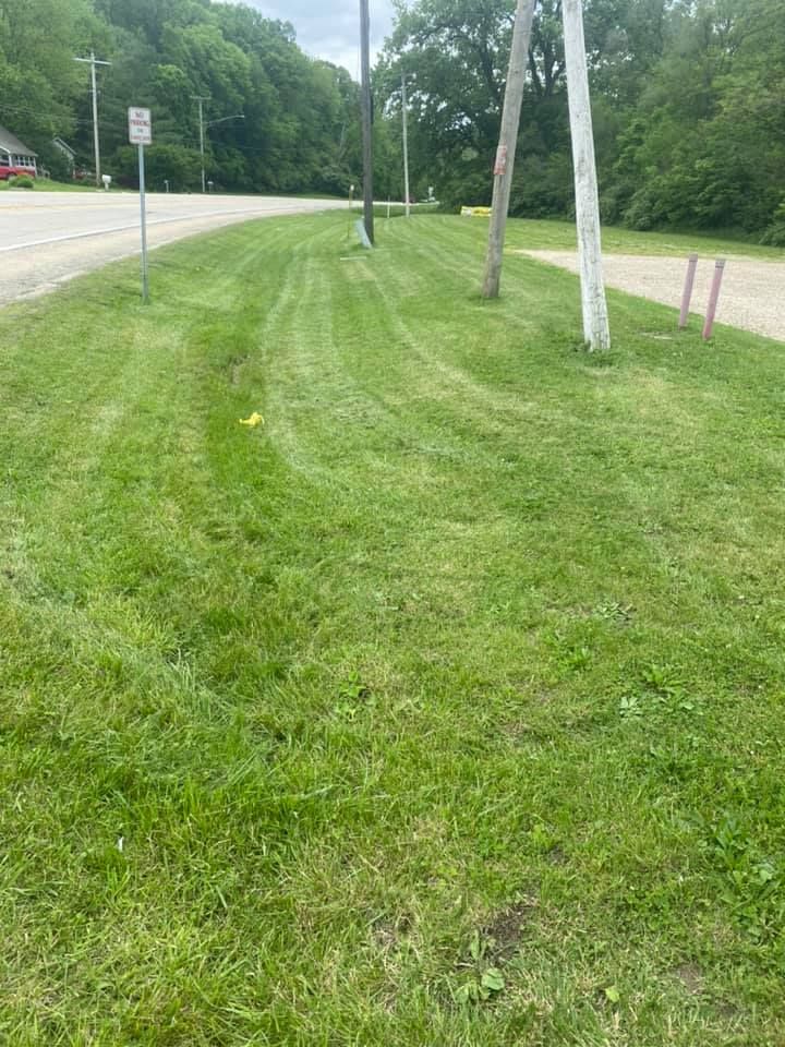 Grassy roadside verge beside a road, with utility poles and trees along the edge.