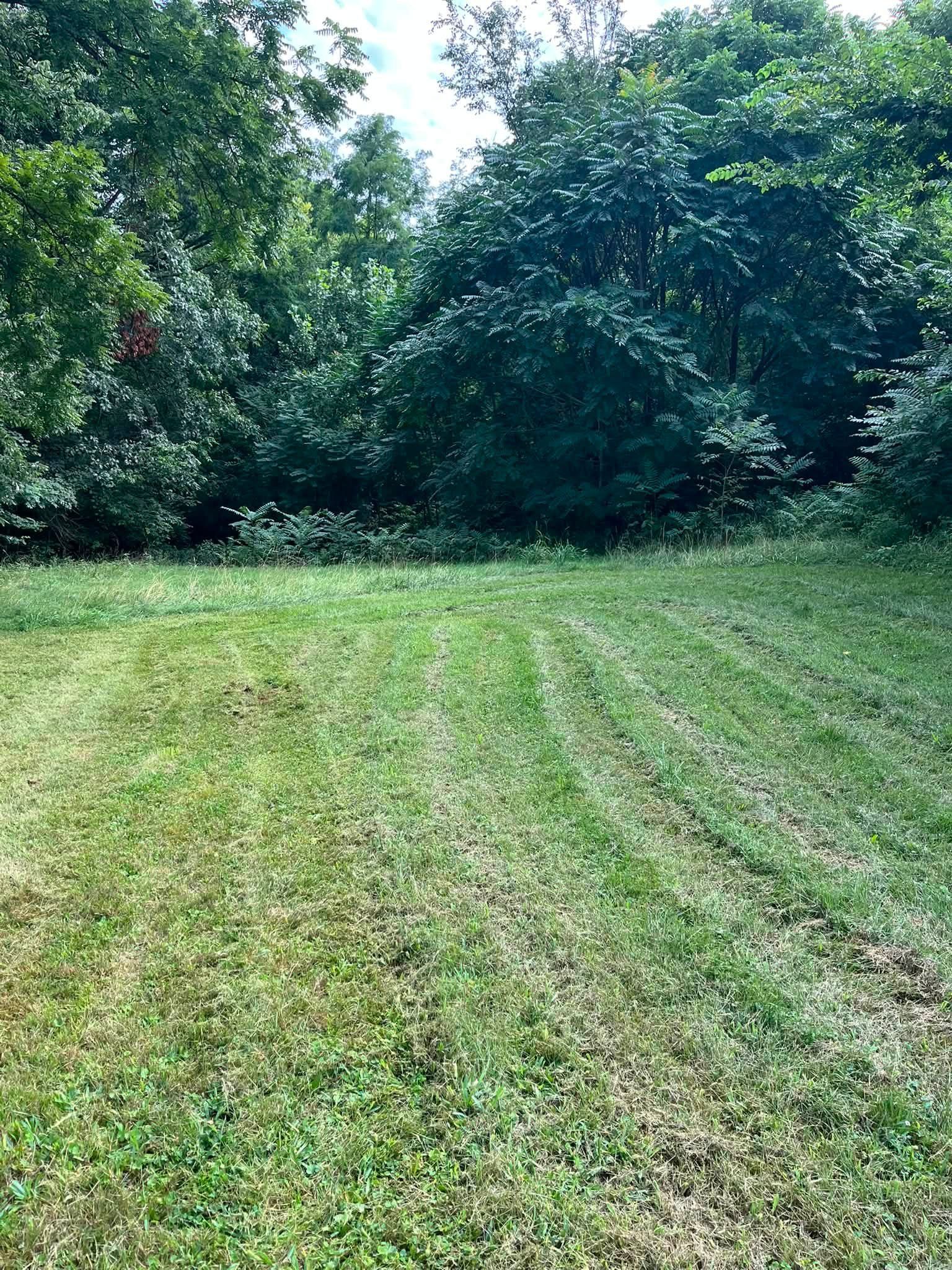 Grassy field with mowed lines leading to dense green trees under daylight