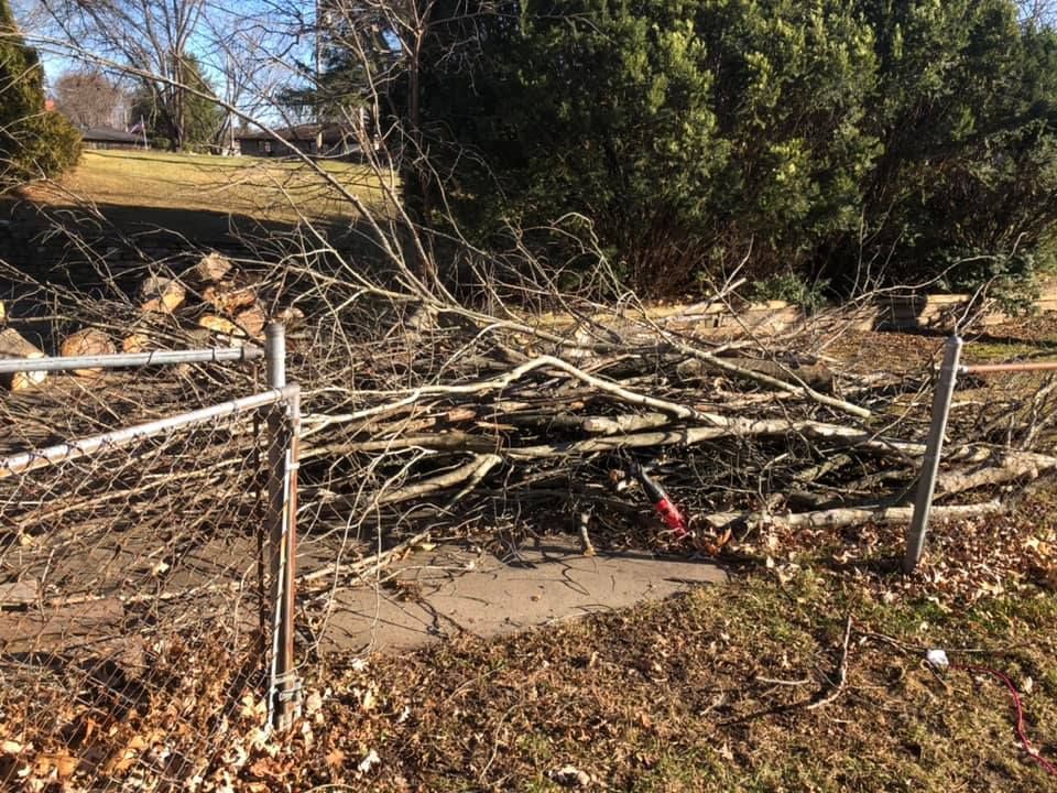 Pile of fallen tree branches and debris behind a chain-link fence in a yard.