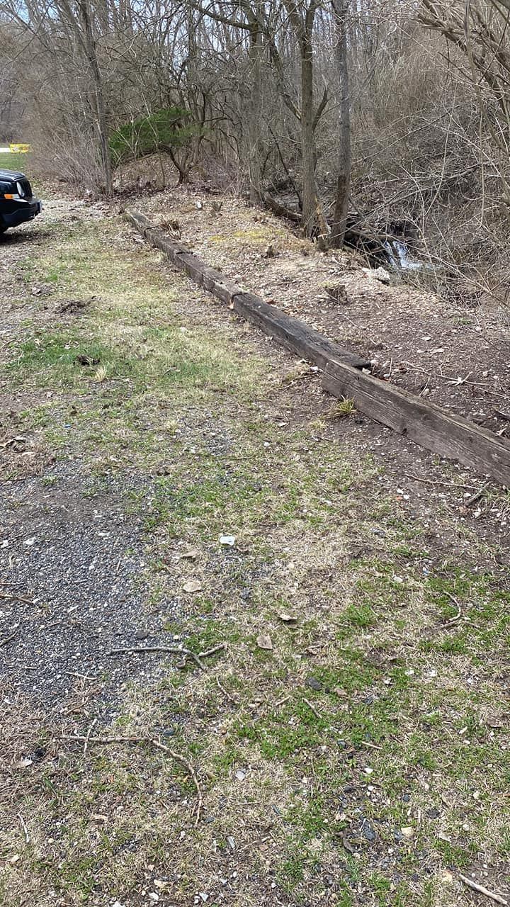 Gravel path beside a ditch and leafless trees, with a parked car at left and patchy grass in the foreground