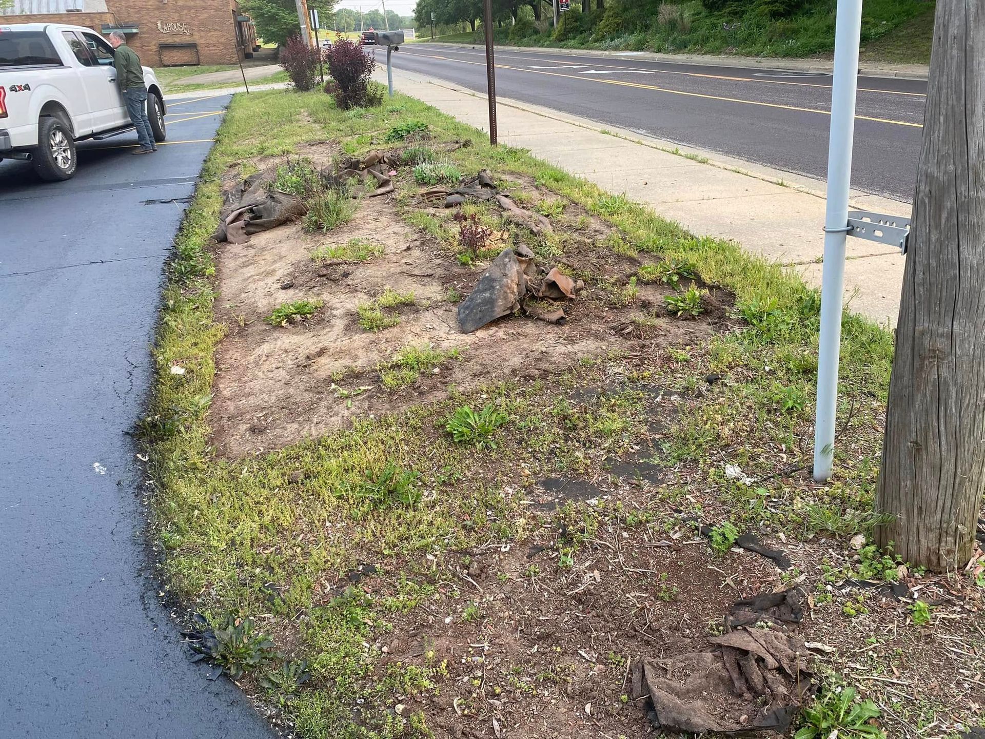 Bare roadside planting strip with sparse grass, tree stumps, and a sidewalk beside a street