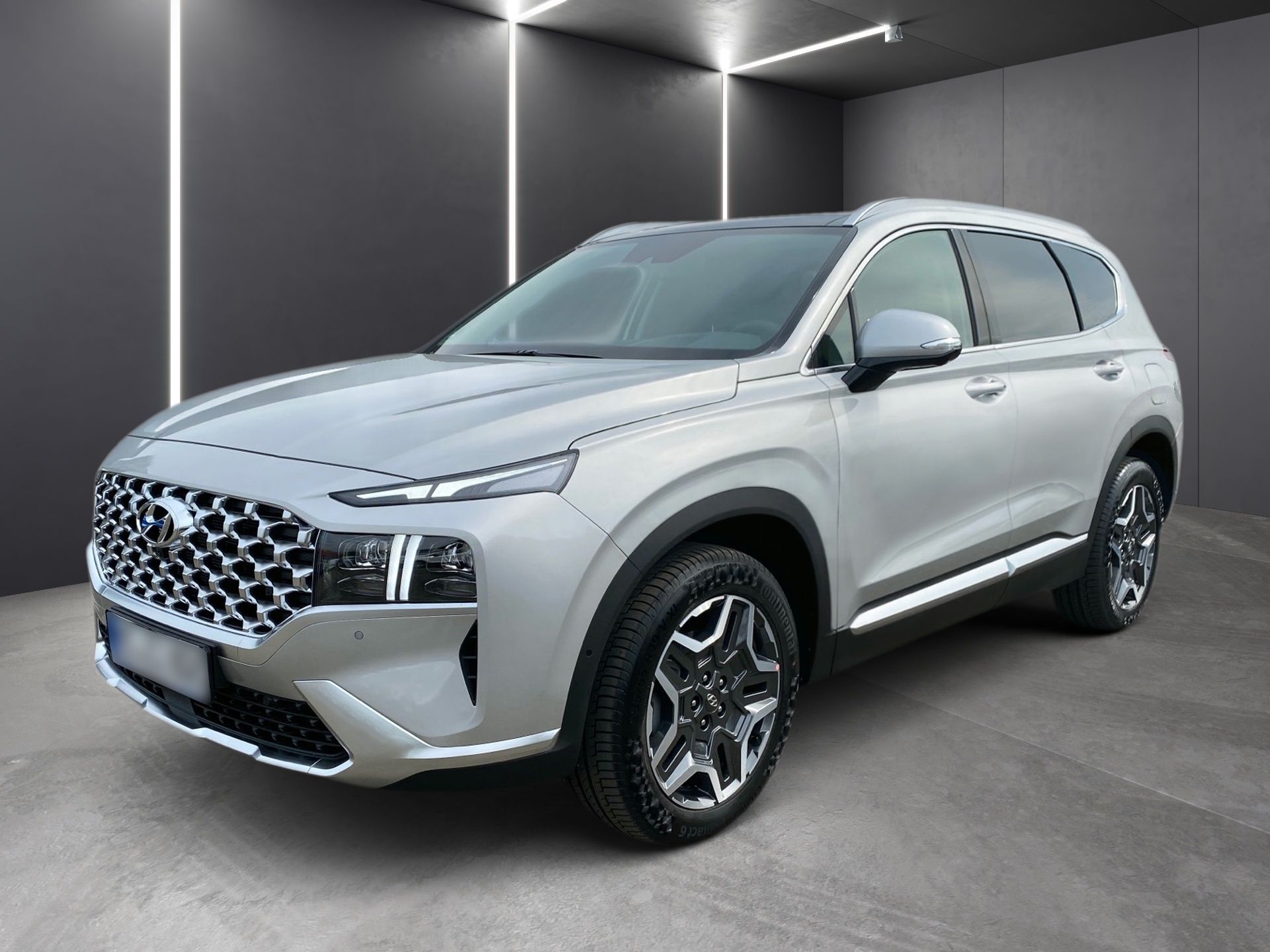 Ein weißer Hyundai Santa Fe steht in einer Garage.