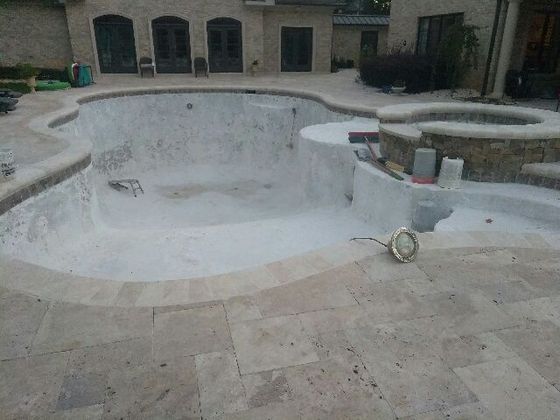 Empty backyard swimming pool with green water, stone patio, and trees nearby