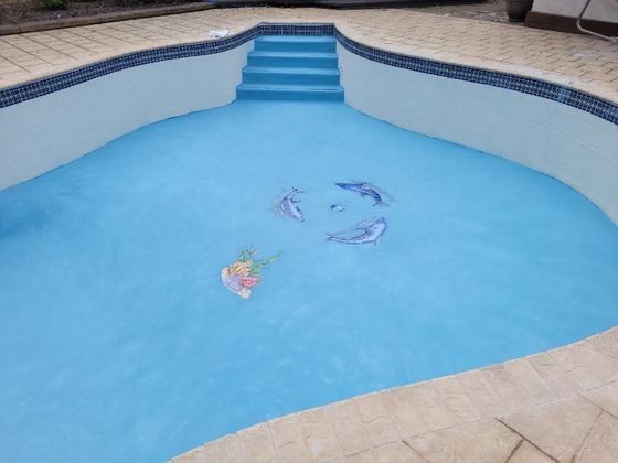 Empty blue swimming pool with steps and a few floating toys or debris in the water
