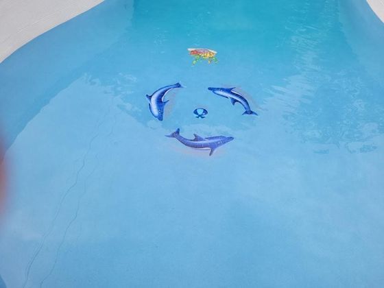 Blue pool water with a playful face design and a small orange fish near the top