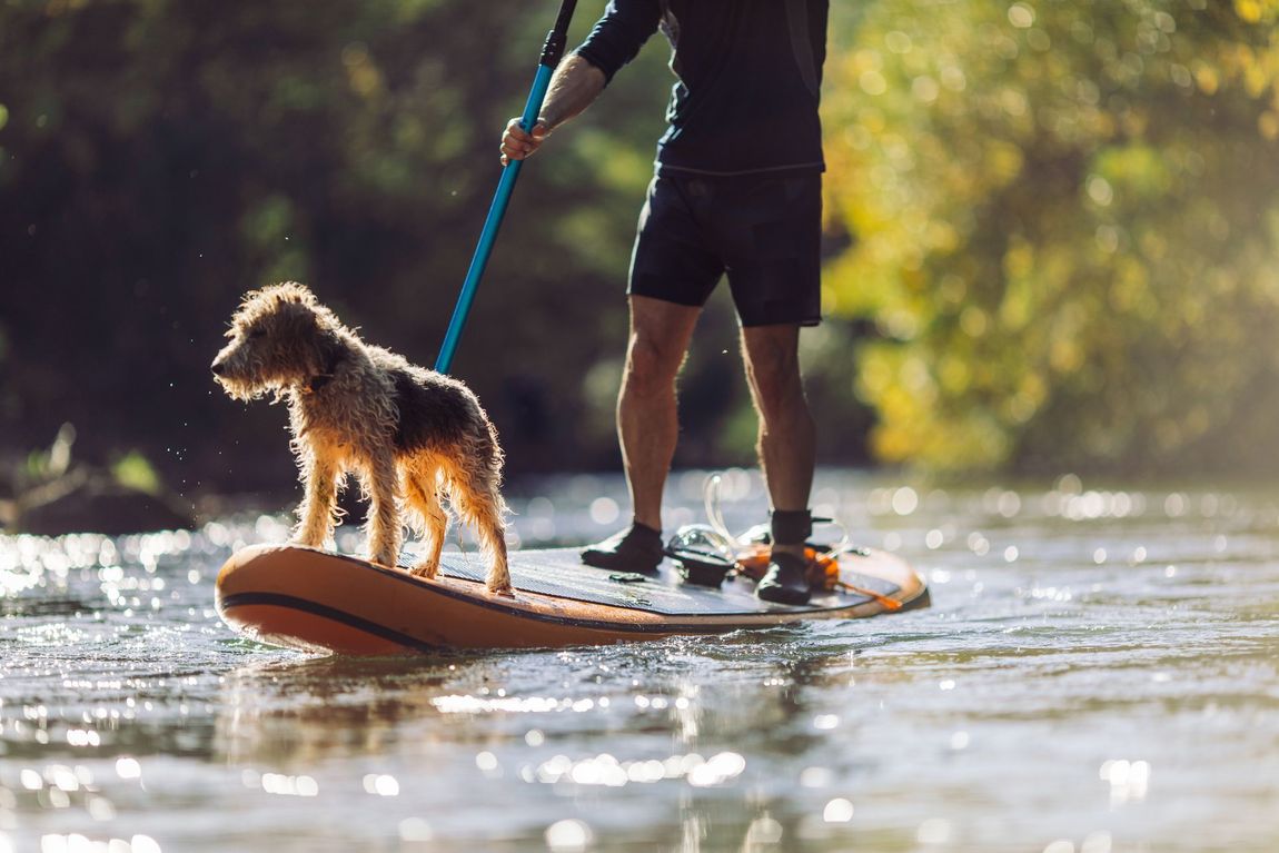 Max exploring River with his Dog — The District at Parkcenter