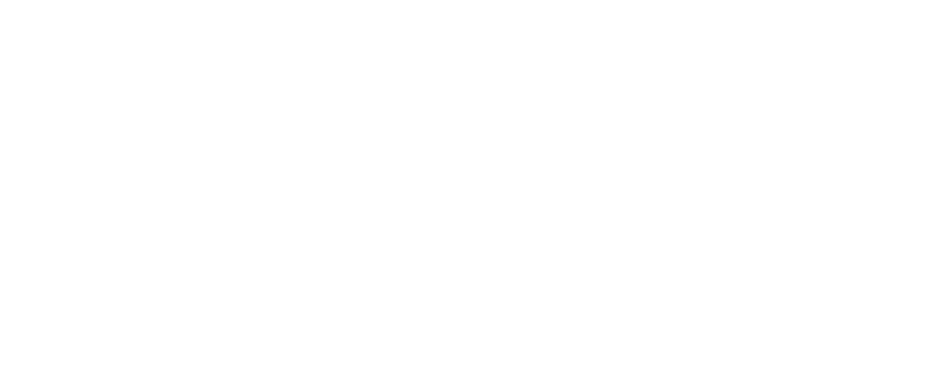 Logo Vechtfloat Wit