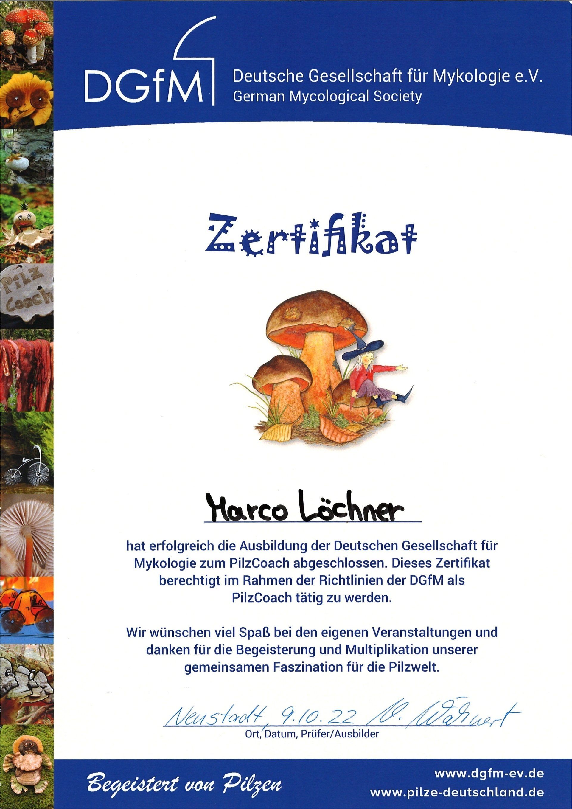 Pilzwanderung