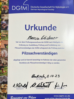 Pilzwanderung
