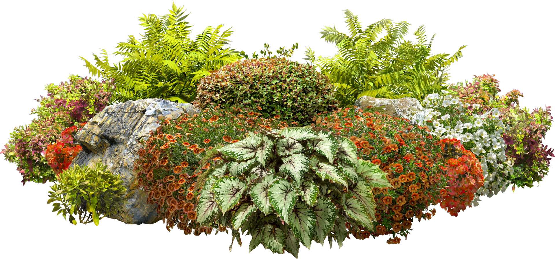A Bunch of Plants and Rocks on a White Background