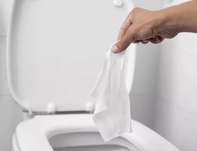 Removing Tissue On Toilet Bowl — Portage, MI — Dan Wood Company Removing Tissue On Toilet Bowl — Portage, MI — Dan Wood Company