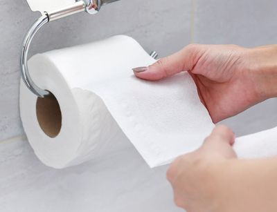 Toilet Tissue — Portage, MI — Dan Wood Company Toilet Tissue — Portage, MI — Dan Wood Company