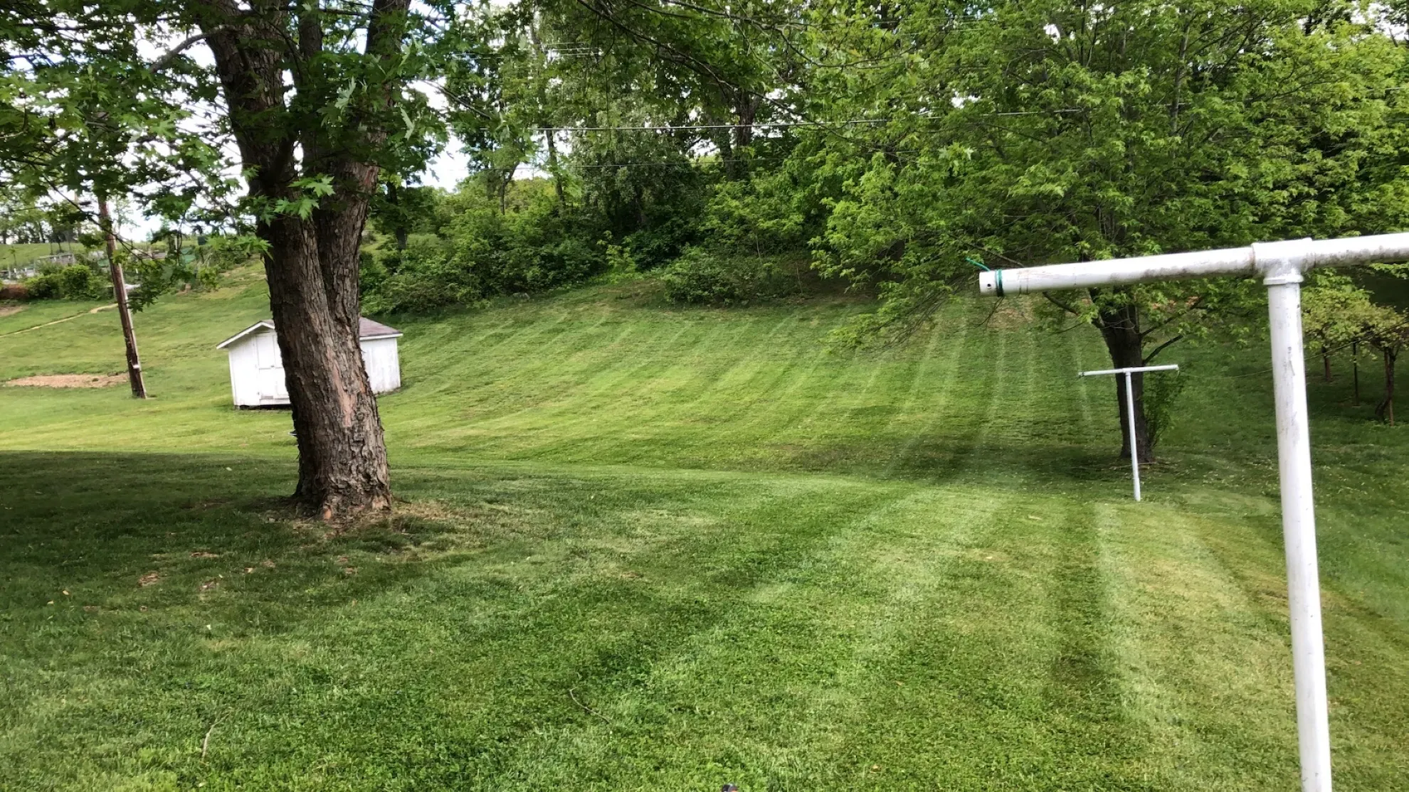 A lush green lawn with a swing set and a shed in the background.