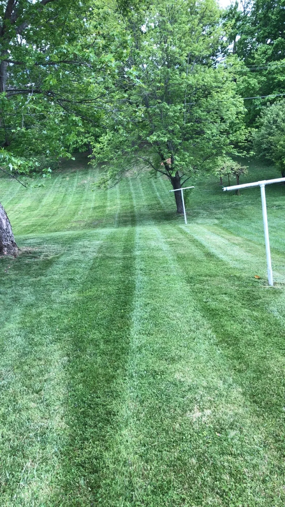 A person is mowing a lush green lawn with a lawn mower.