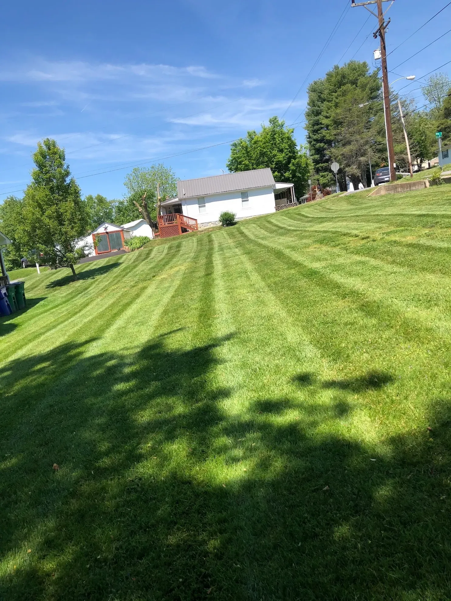 A lush green lawn with a house in the background on a sunny day.