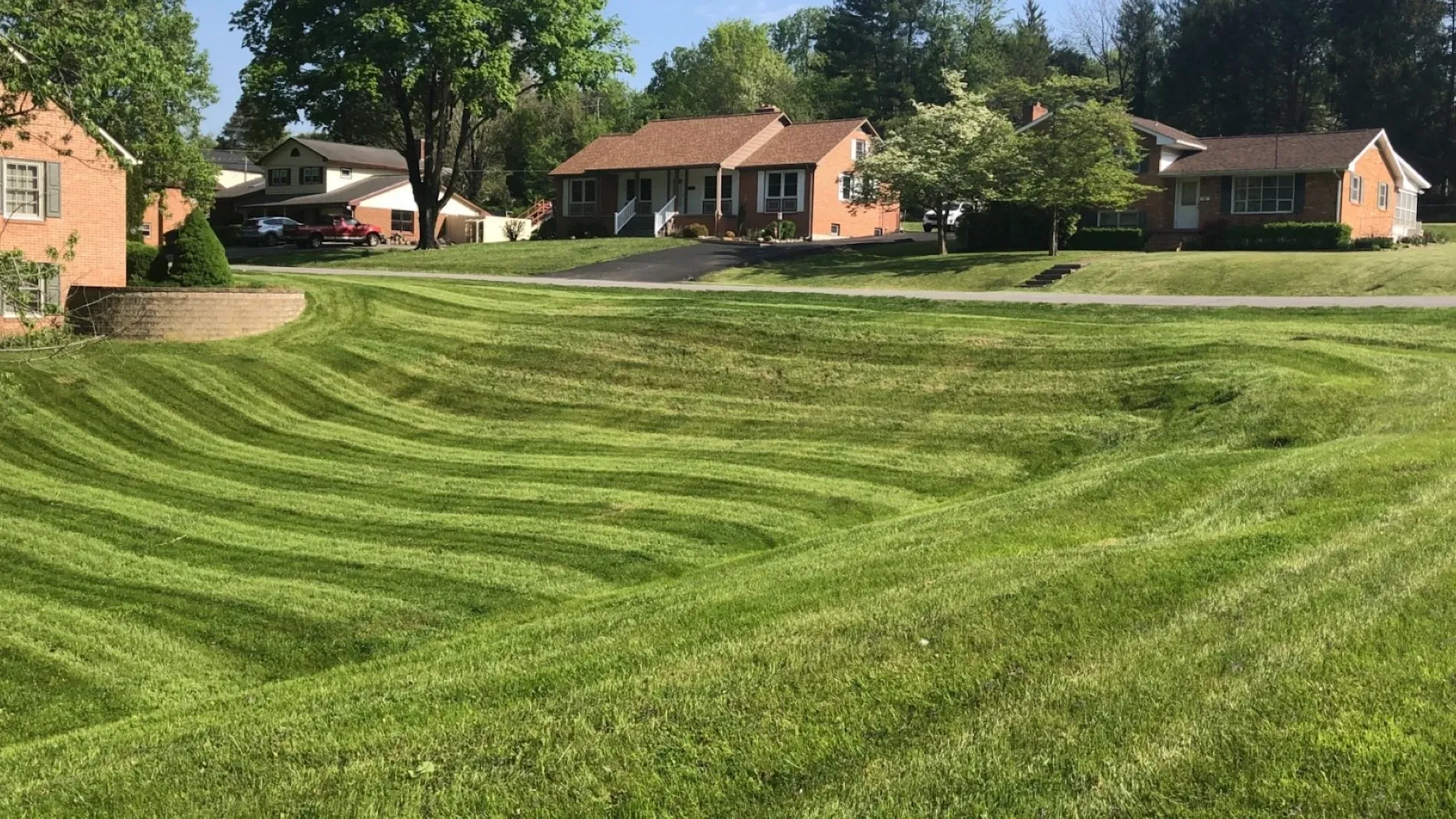 A lush green lawn with a few houses in the background.