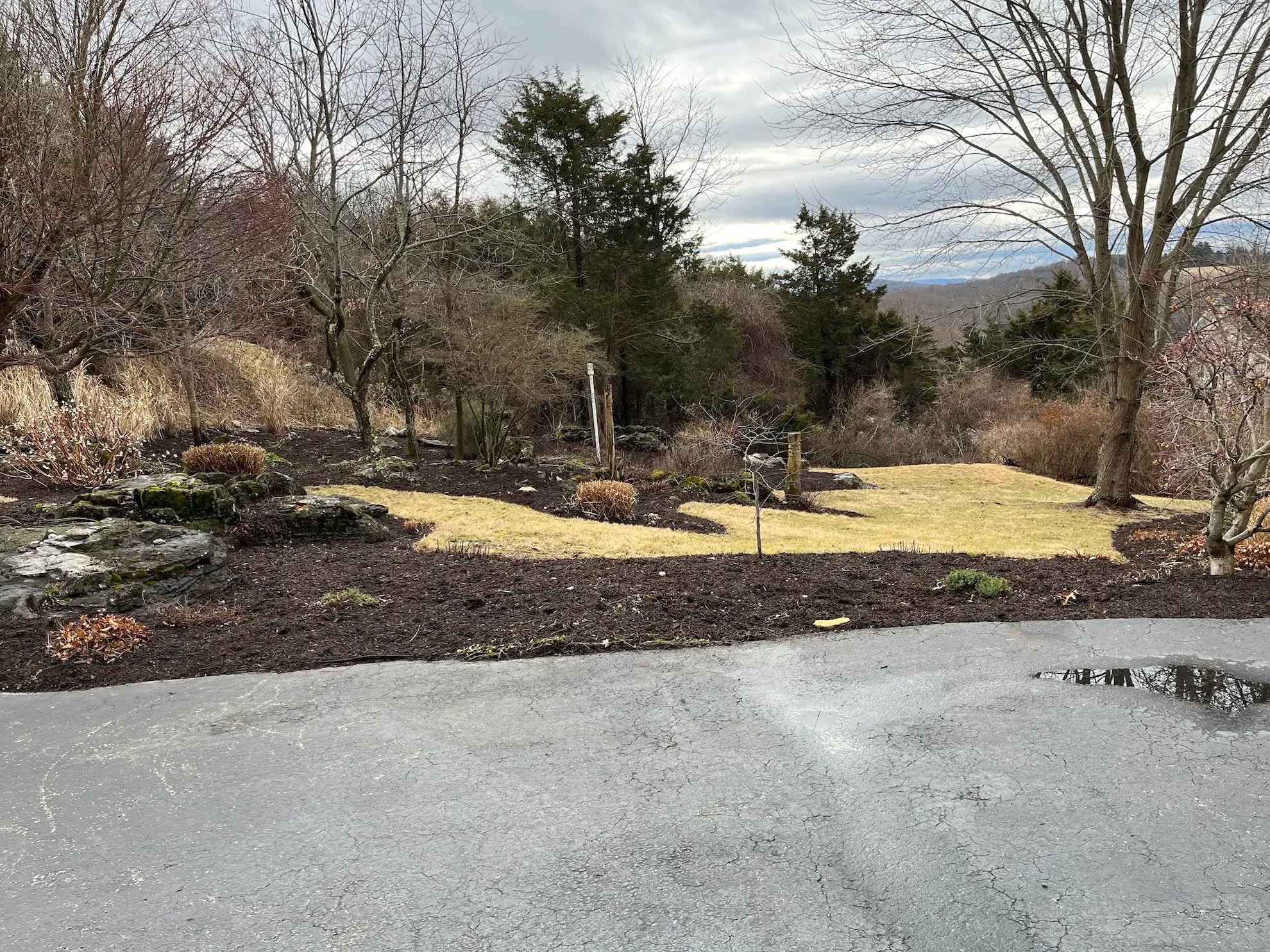 There is a lot of dirt and trees in the background.