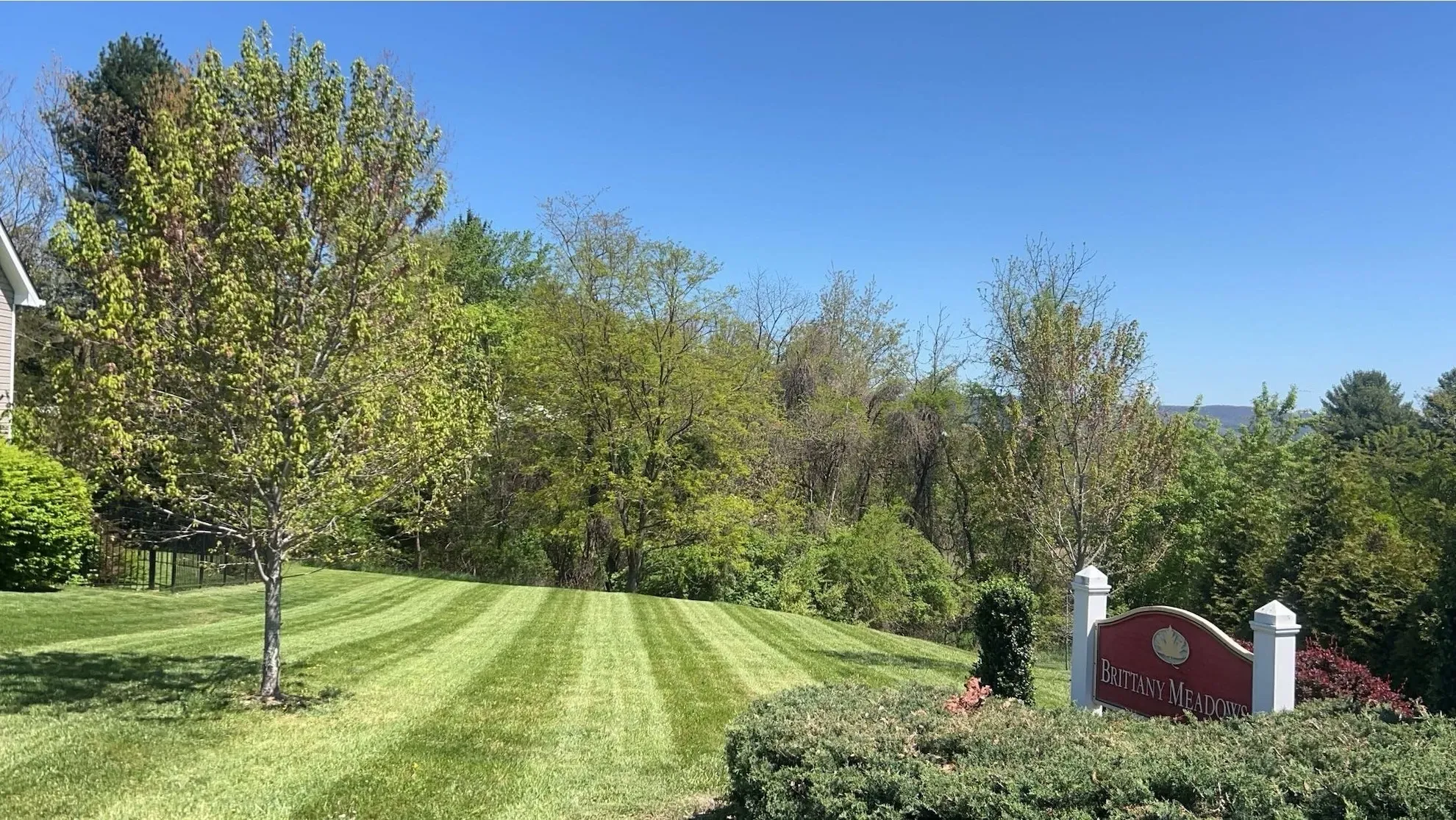 A lush green lawn with a sign in the foreground and trees in the background.