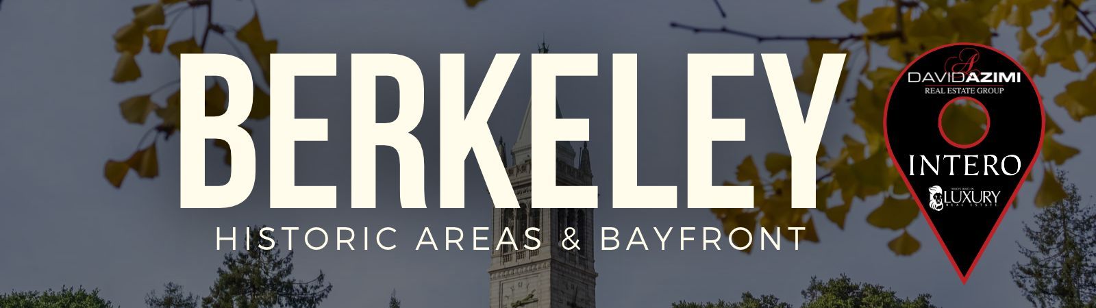 Berkeley campus banner with large white text with the David Azimi real estate group logo on the left and www.davidazimigroup.com underneath.