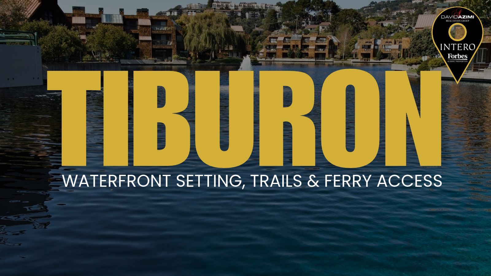 Tiburon peninsula homes near San Francisco Bay, local trails, waterfront parks, and ferry service