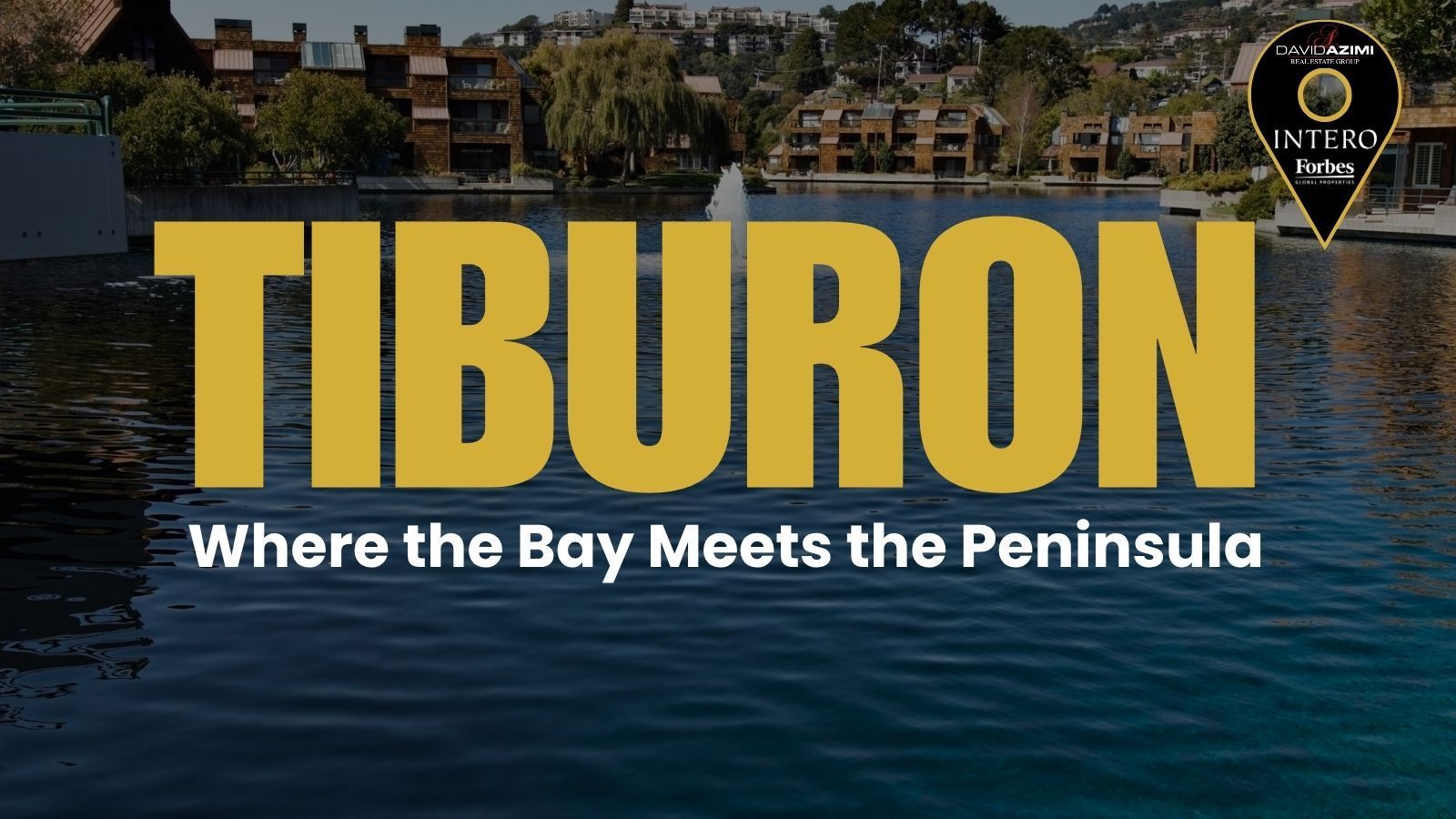 Tiburon California waterfront town with hillside homes and San Francisco Bay views
