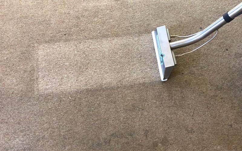 Bendigo Floor & Upholstery Cleaning Advanced Floor Care