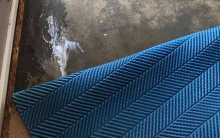 Flood Restoration & Mould Treatment Service
