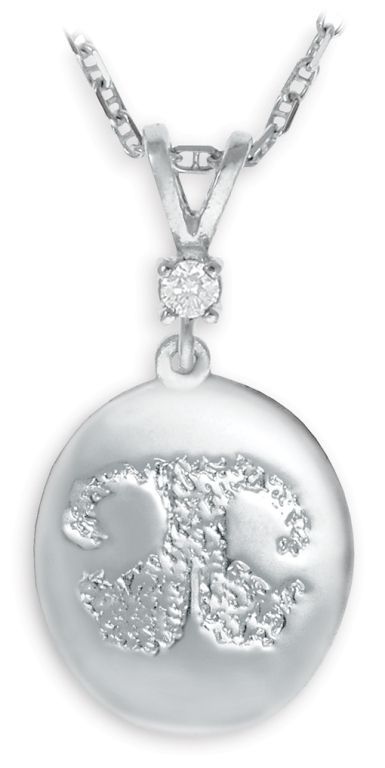 Silver pendant necklace with a round frosted charm and a sparkling symbol in the center