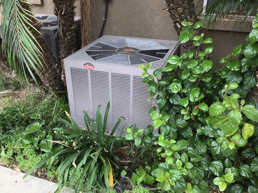 Outdoor air conditioner unit beside lush green plants against a fence.