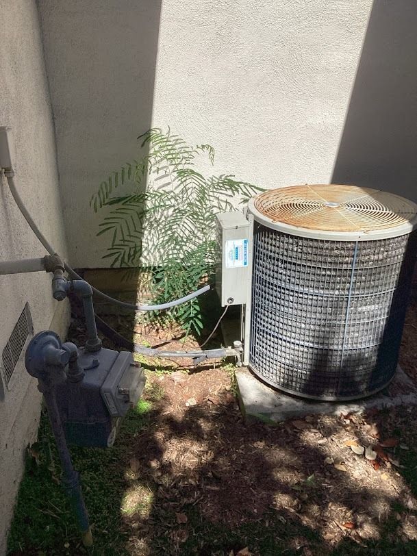 Outdoor AC unit beside a wall, with a small fern-like plant and plumbing in a shaded dirt corner