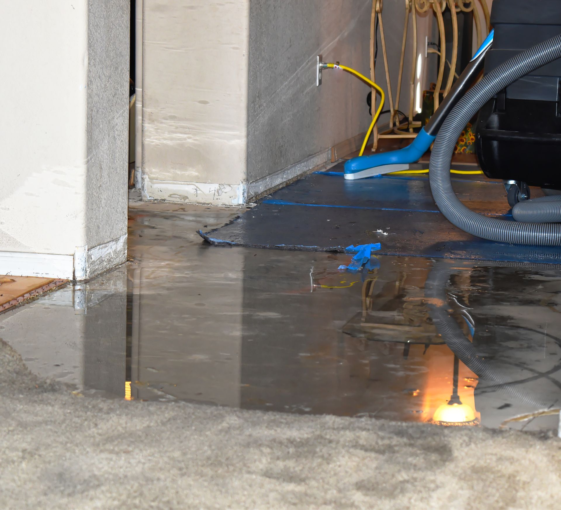 Professional Water Damage Restoration