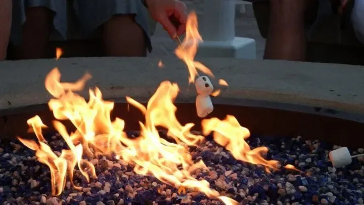 Marshmallows roasting over a fire pit with blue stones.