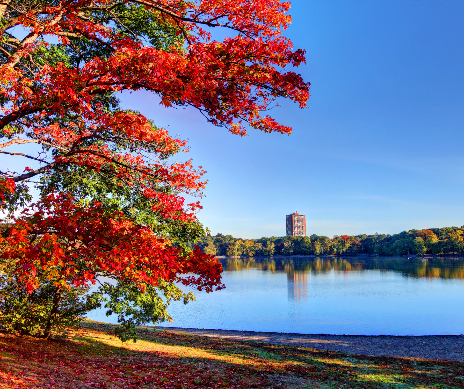 off the beaten path Boston, Boston local attractions