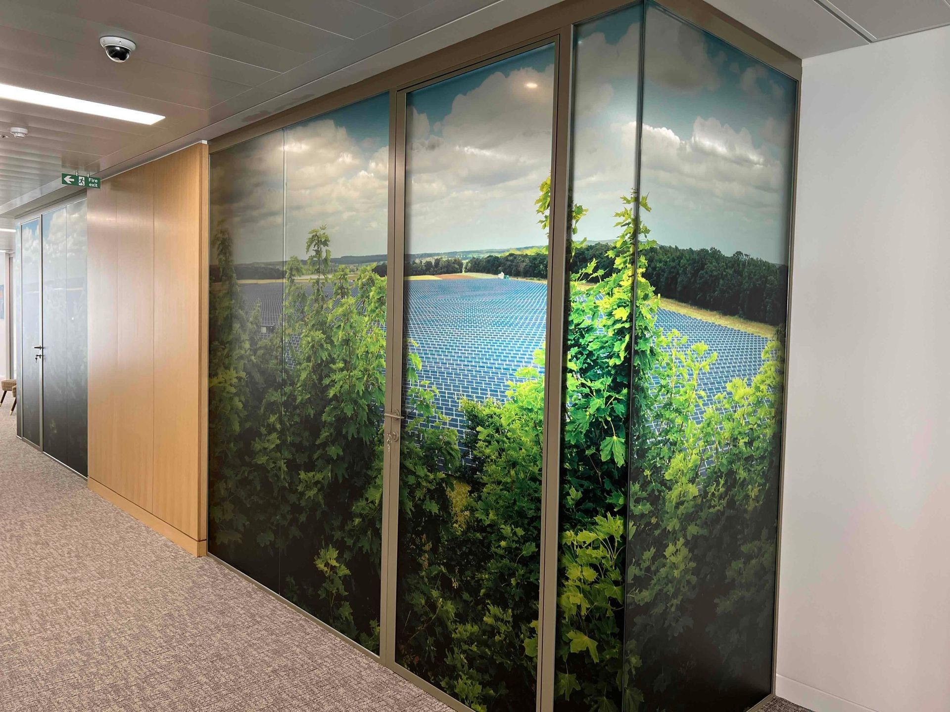 Printed landscape graphics on walkway storage cupboards