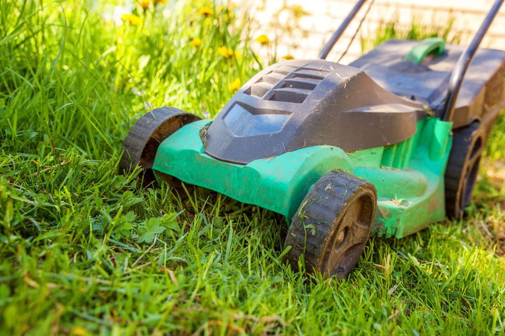 Green Lawnmower Cutting Green Grass in a Sunny Yard — Integral Cleaning Services in Kurri Kurri, NSW
