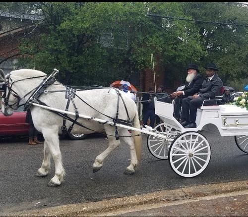 White horse pulling a white carriage with two seated passengers on a street.